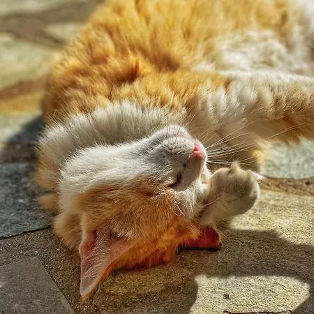 Baba Ξενοδοχείο 3*